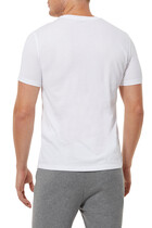 Stripe Logo T-Shirt